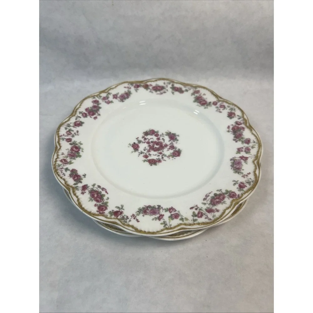 Haviland & Co Limoges Schleiger‎ 270 Salad Plates. 7.5